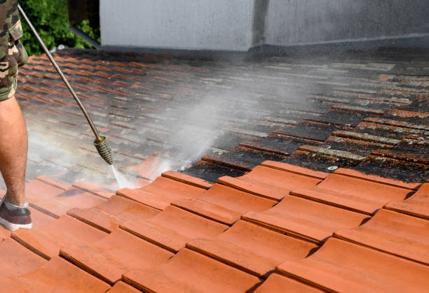 Best Roof Power Washing Services  in Springdale, OH