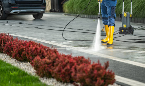 Best Pressure Washing Patio  in Springdale, OH