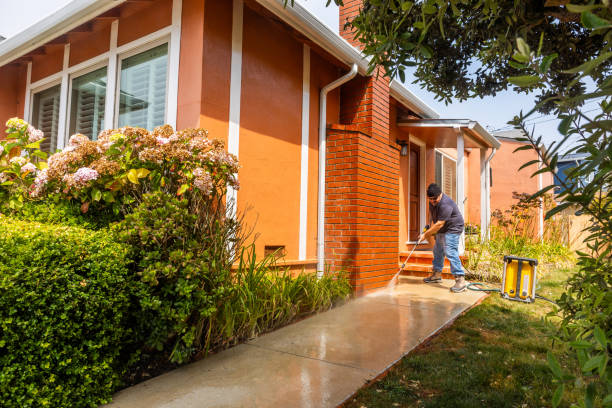 Best Local Pressure Washing Services  in Springdale, OH